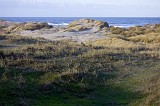 DSC_3898