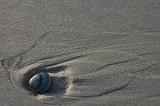 DSC_3963
